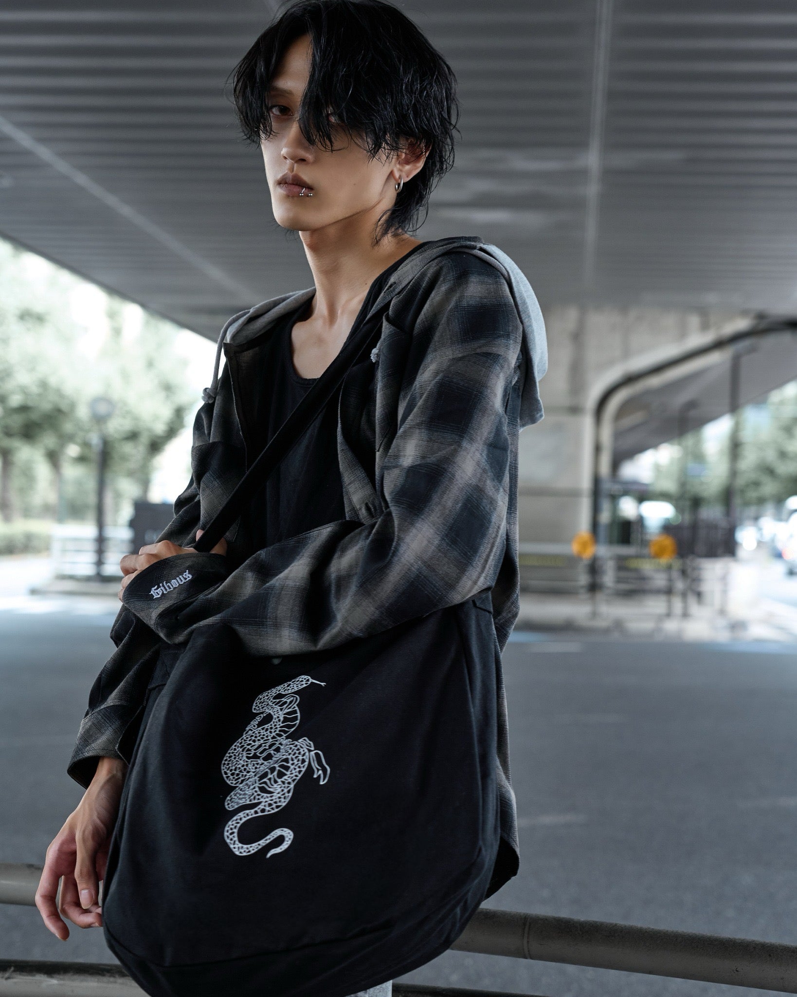 gibous snake scorpion newspaper bag