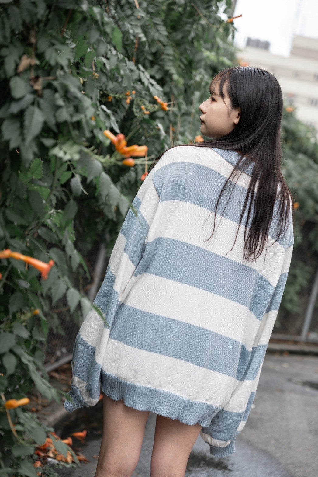 gibous border knitpolo milkblue×white