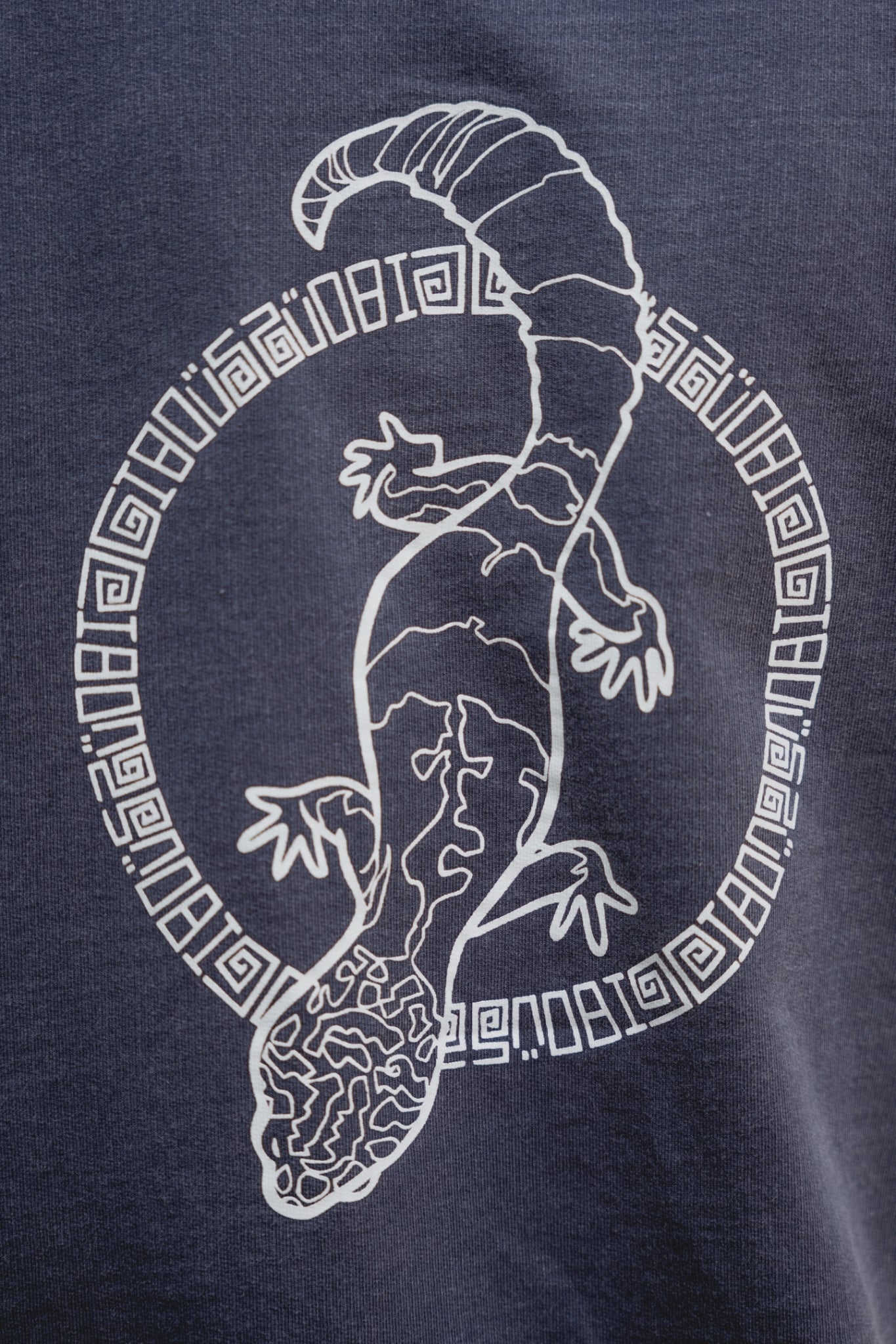 gibous leopa long t shirt