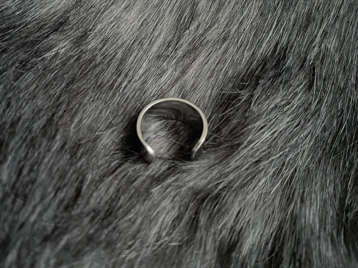 gibous skull snake ring