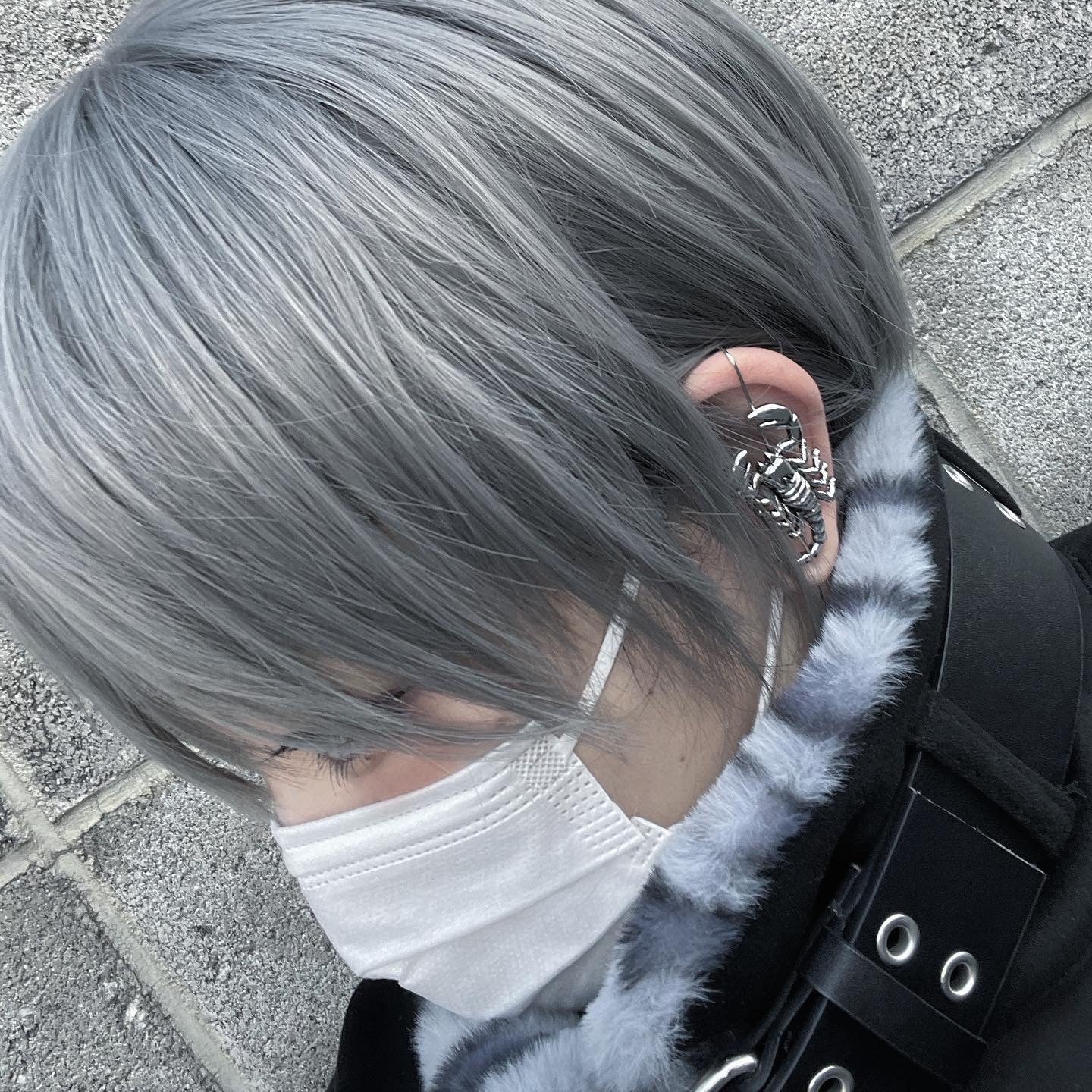 gibous scorpion ear hook