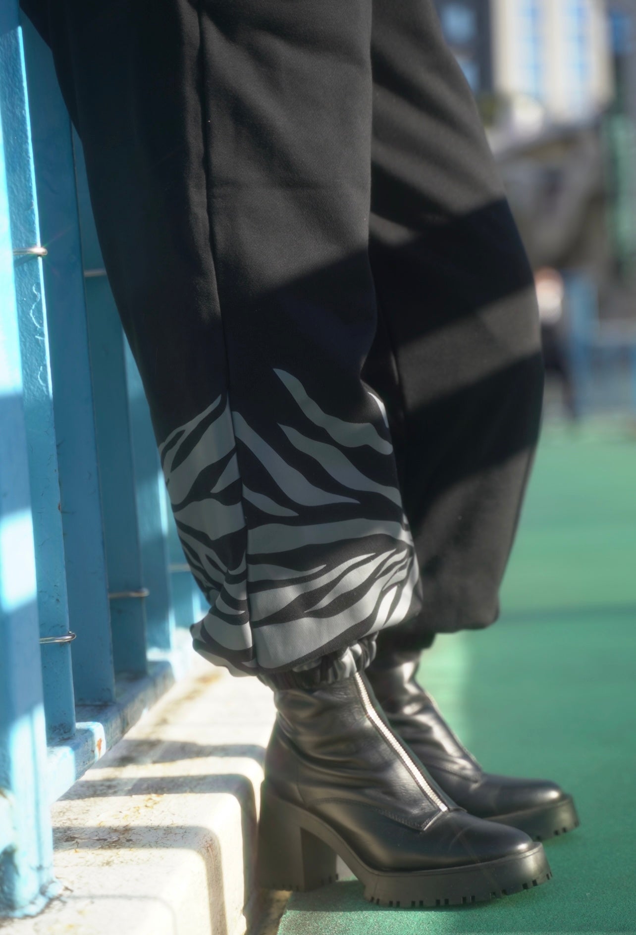 gibous tiger trainer set up black
