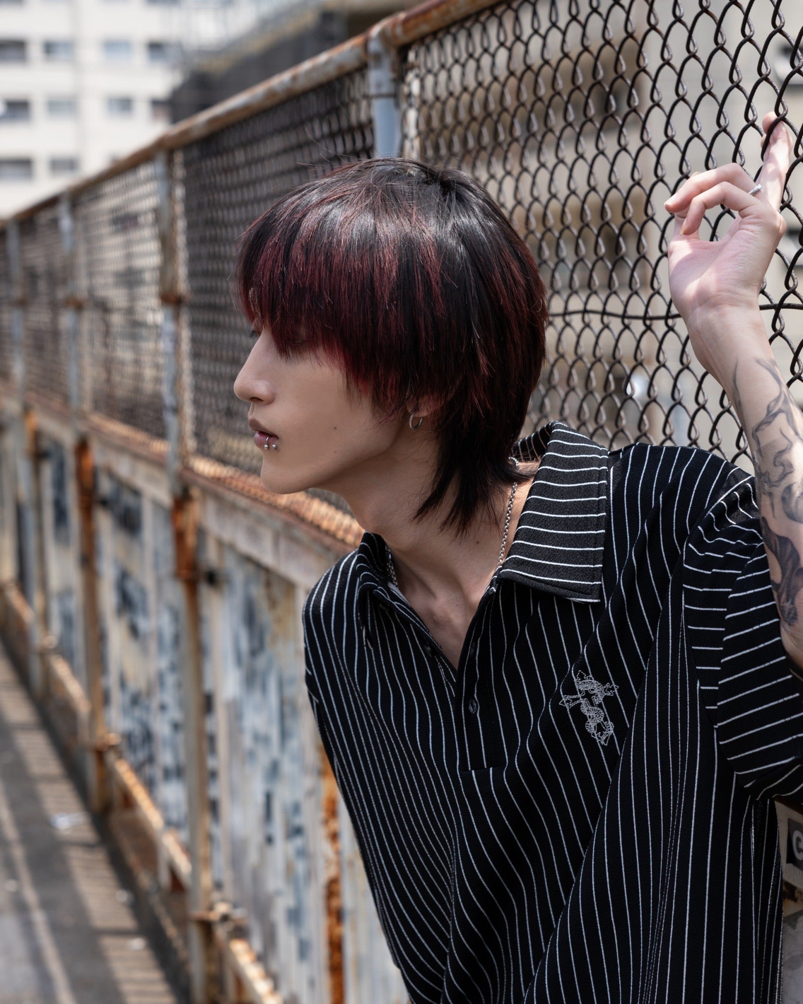 gibous snake cross stripe polo shirt