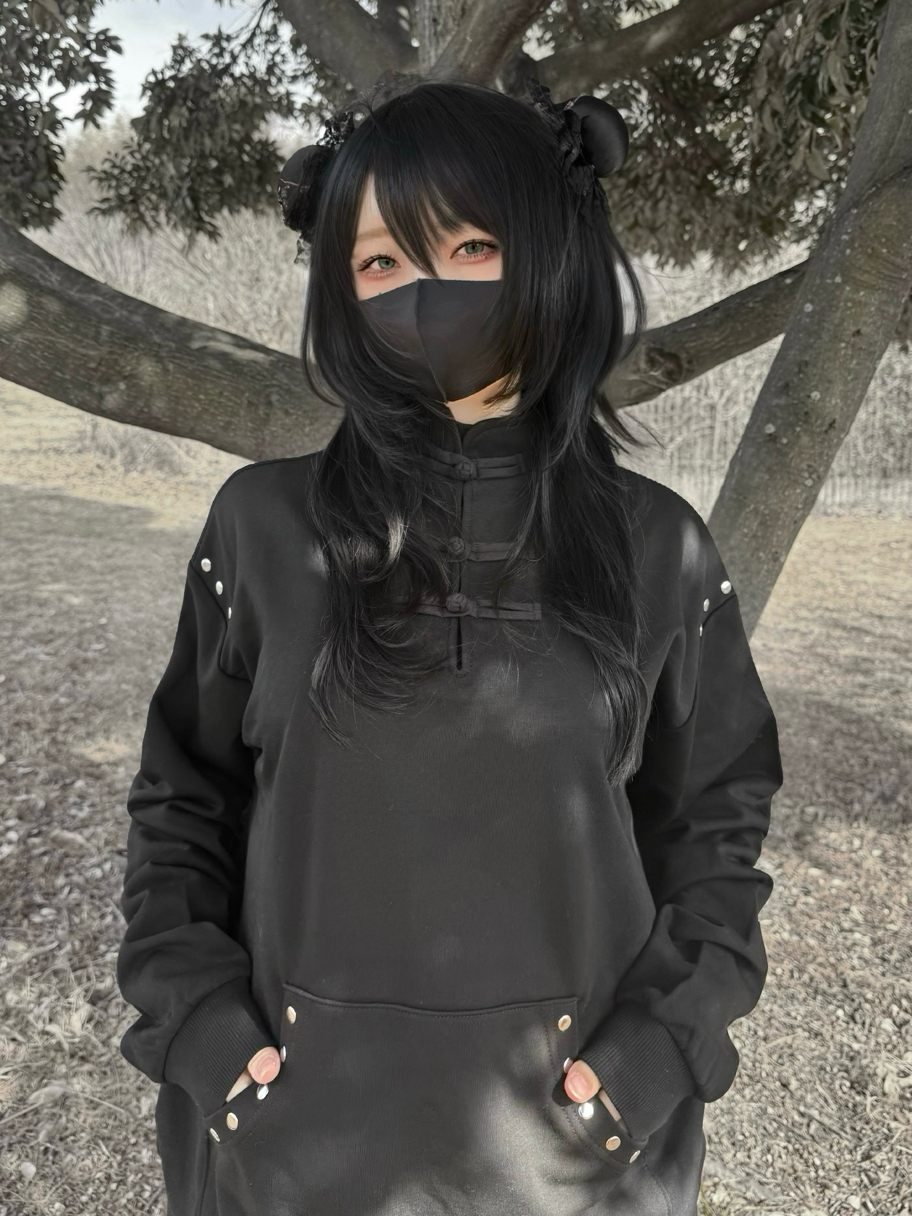 gibous china studs trainer