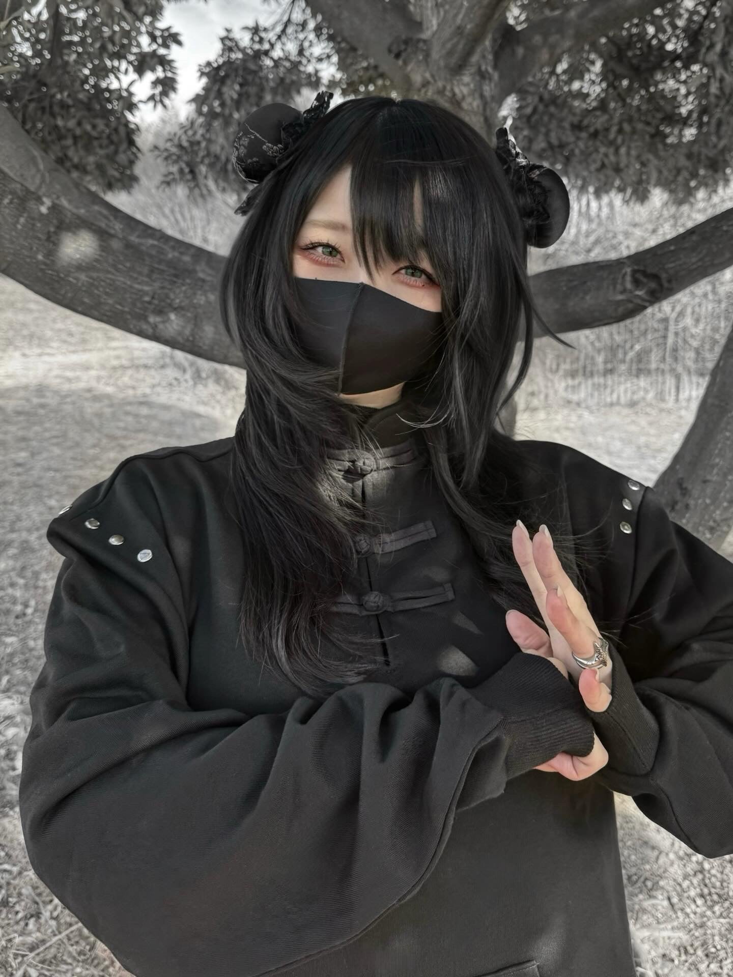 gibous china studs trainer