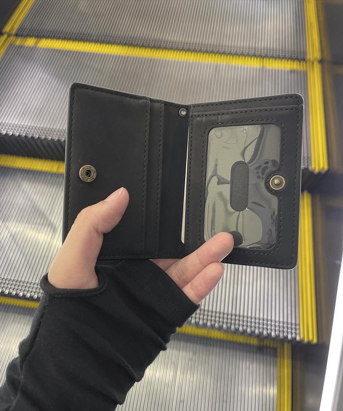 【再販】gibous snake scorpion card case