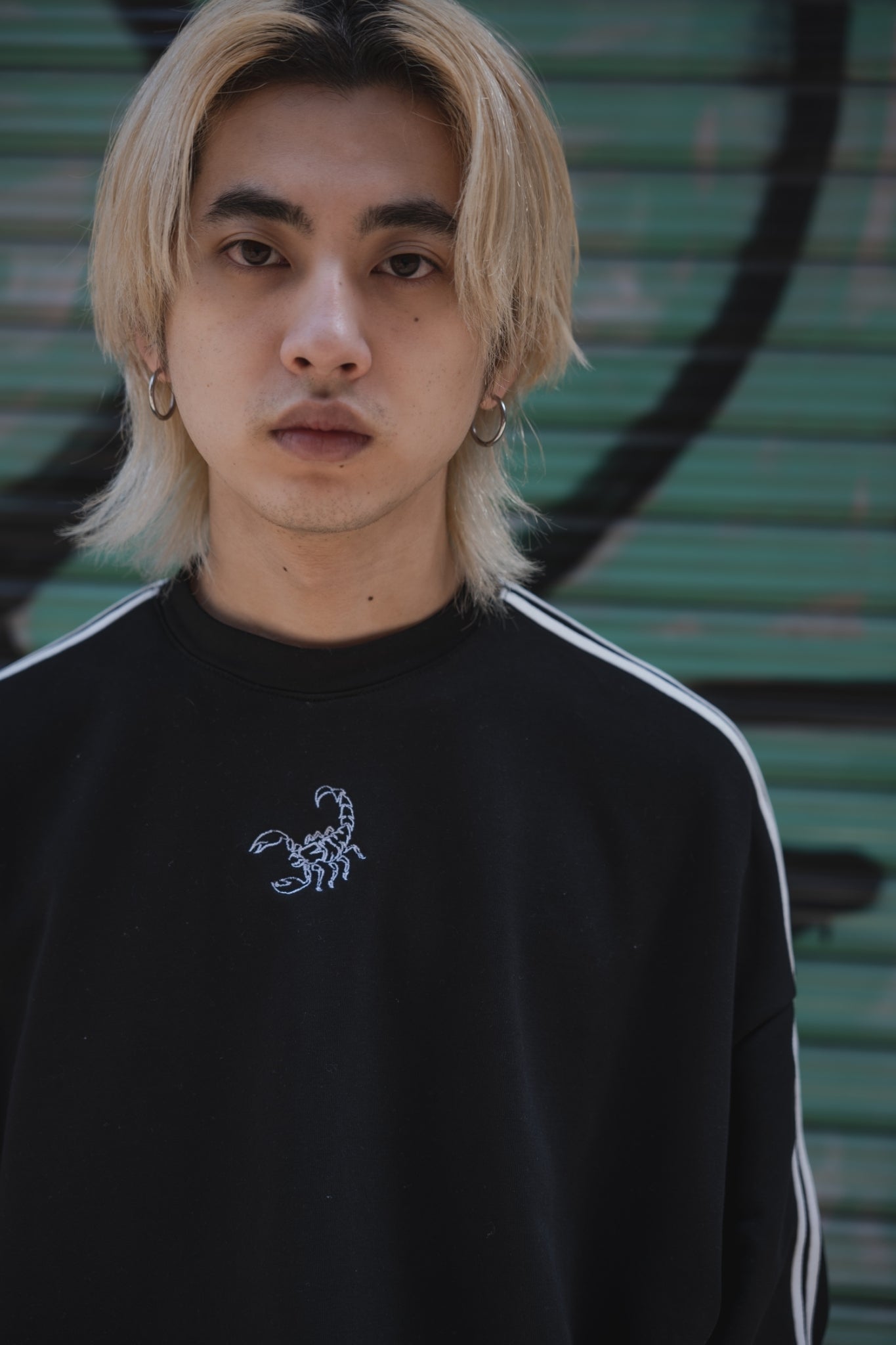 gibous scorpion line pants black