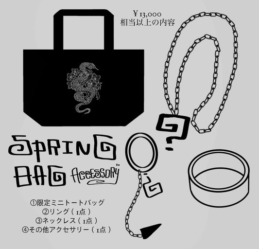 gibous 2023 spring accessory bag